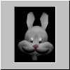 lapin_jeune.jpg