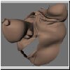 atom_quasimodo03.jpg