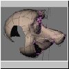 atom_quasimodo05.jpg