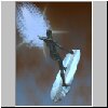 silversurfer02.jpg