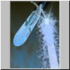 silversurfer03.jpg