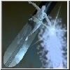 silversurfer04b.jpg