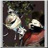 imp_09exppov4look_like.jpg