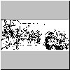 bd068.gif