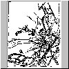 bd078.gif
