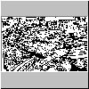 bd138.gif