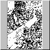 bd302.gif