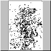 bd305.gif