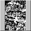 bd306.gif