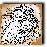 Image flash :réaliser un dessin d'illustration à la vitesse de la narration.